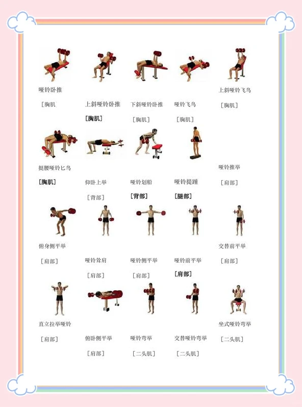 哪里有适合初学者的篮球进步课程?_0